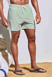 Men's Basic Standard Size Slim Striped Printed Swimsuit Pocket Marine Shorts Green Piamoda