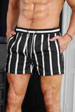 Men's Basic Standard Size Striped Printed Swimsuit Pocket Marine Shorts Black Piamoda