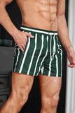 Men's Basic Standard Size Striped Printed Swimsuit Pocket Marine Shorts Green Piamoda